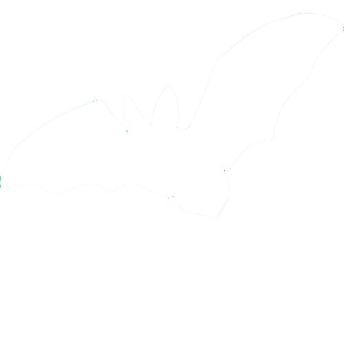 Elektrofania